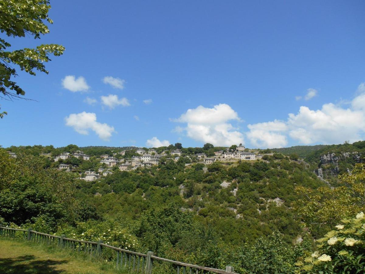 Archontiko Evridikis Hotel Vitsa Exterior photo